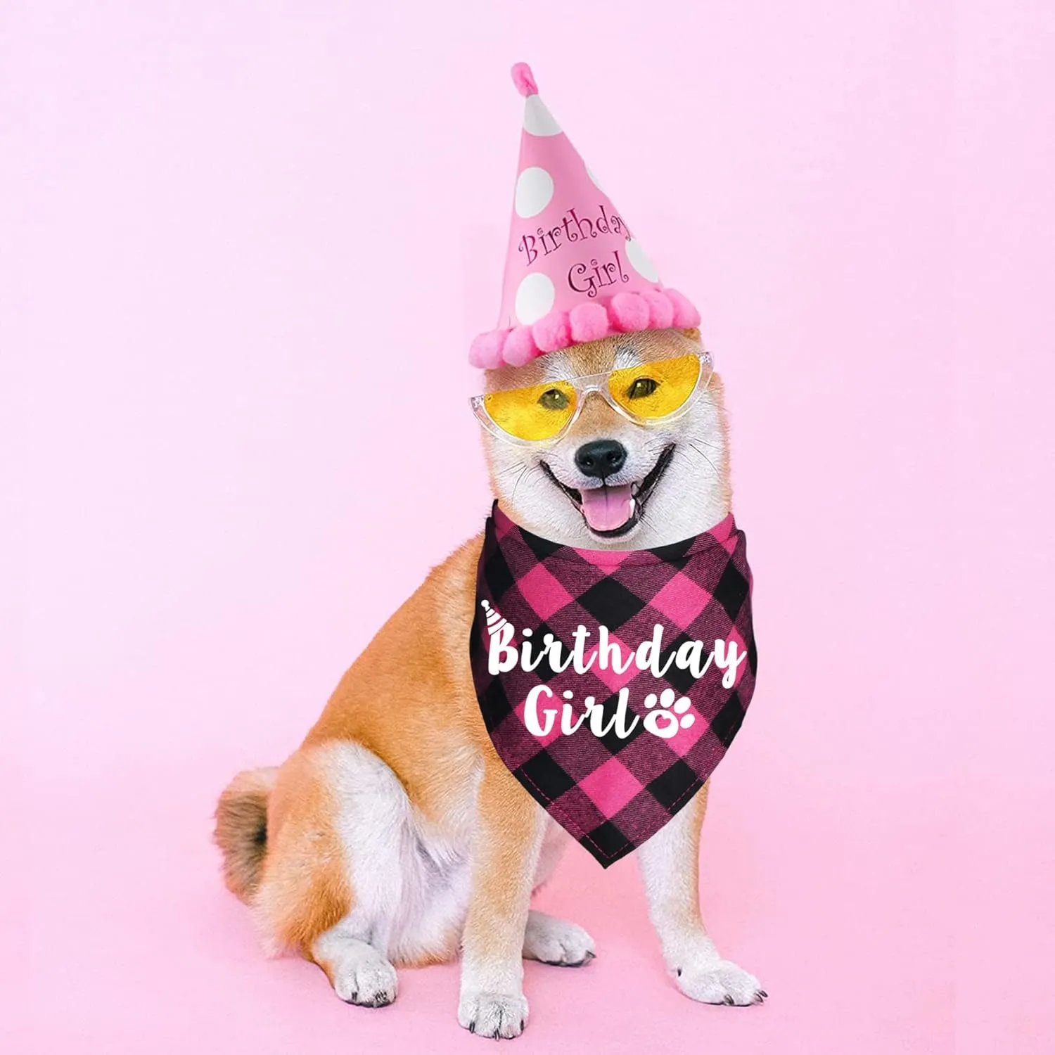 Plaid Dog Bandana for Birthday Party Supplies (Blue and Pink)
