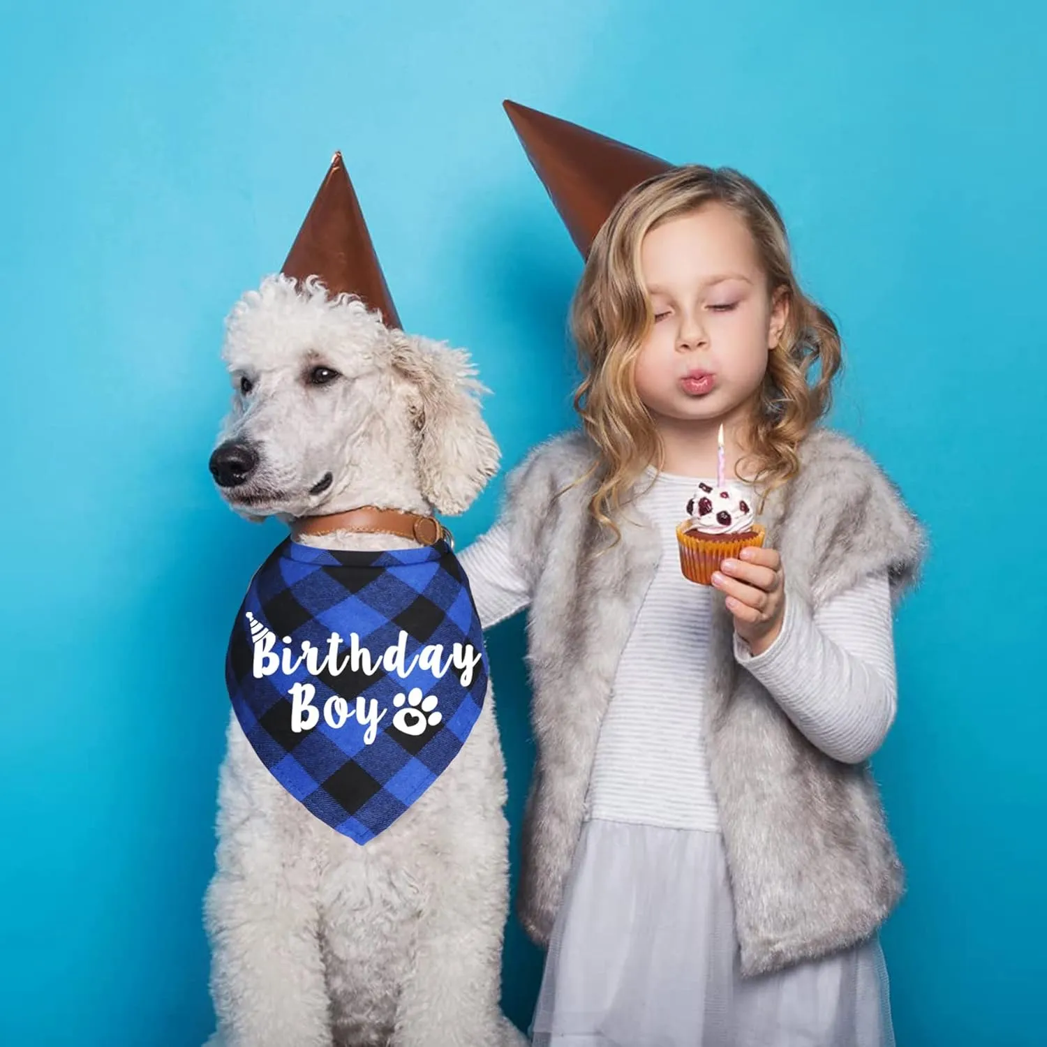 Plaid Dog Bandana for Birthday Party Supplies (Blue and Pink)